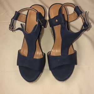 Blue Wedges